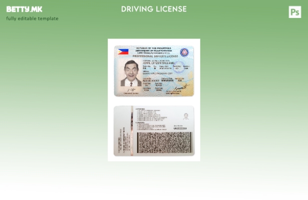 Шаблон за возачка дозвола од Филипините во модерен стил